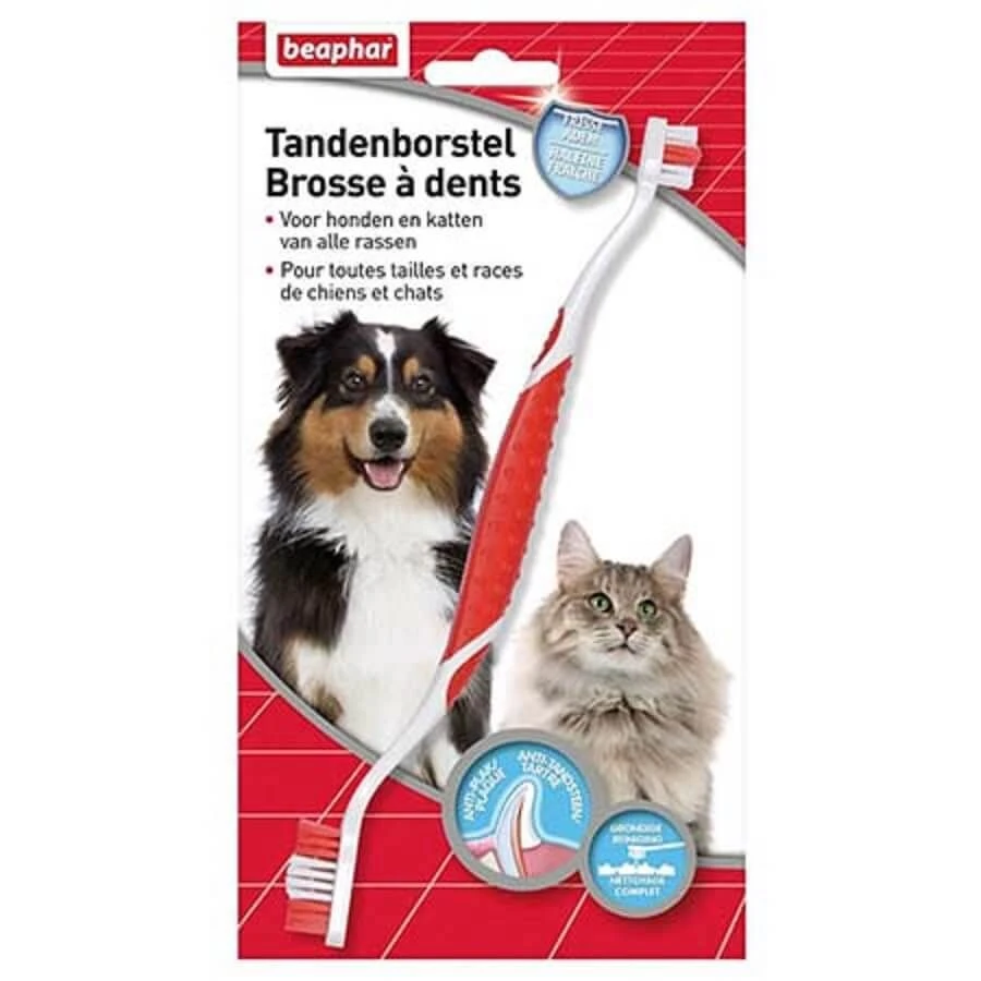 Beaphar Brosse Ă Dents Chien & Chat