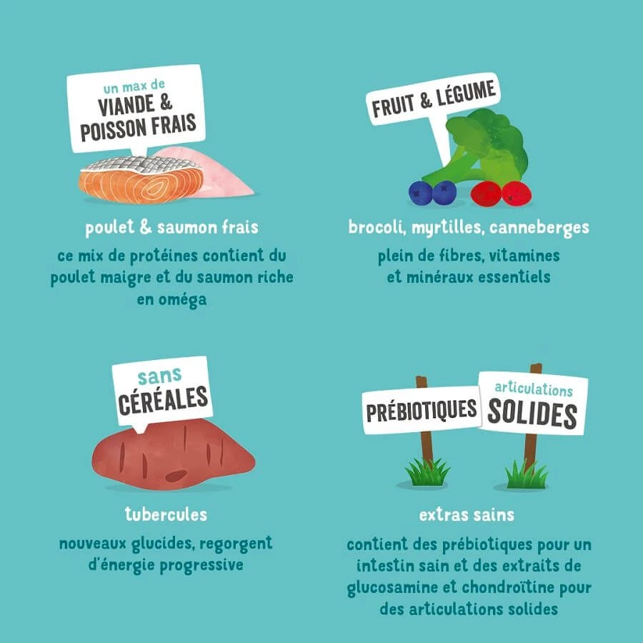 Edgard & Cooper Poulet Frais & Saumon Sans Céréales Grand Chien Senior 12 Kg – Image 7