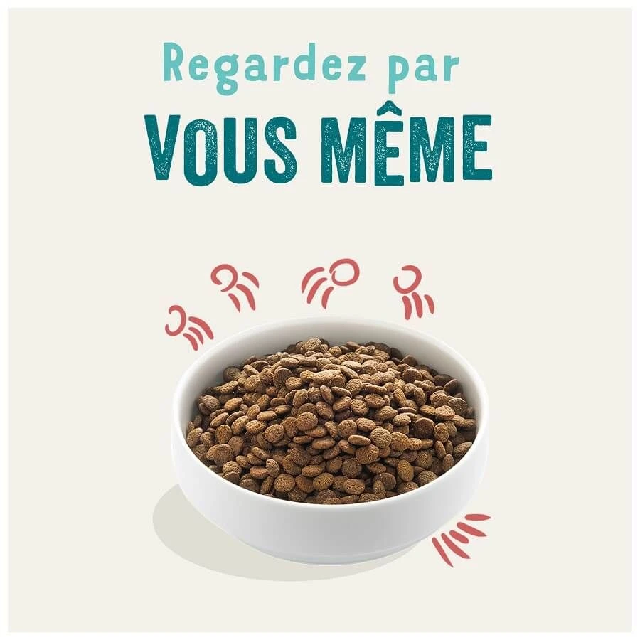 Edgard & Cooper Poulet Frais & Saumon Sans Céréales Grand Chien Senior 12 Kg – Image 3