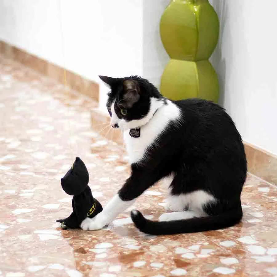 For Fan Pets Chat Canne à Pêche Batman – Image 2