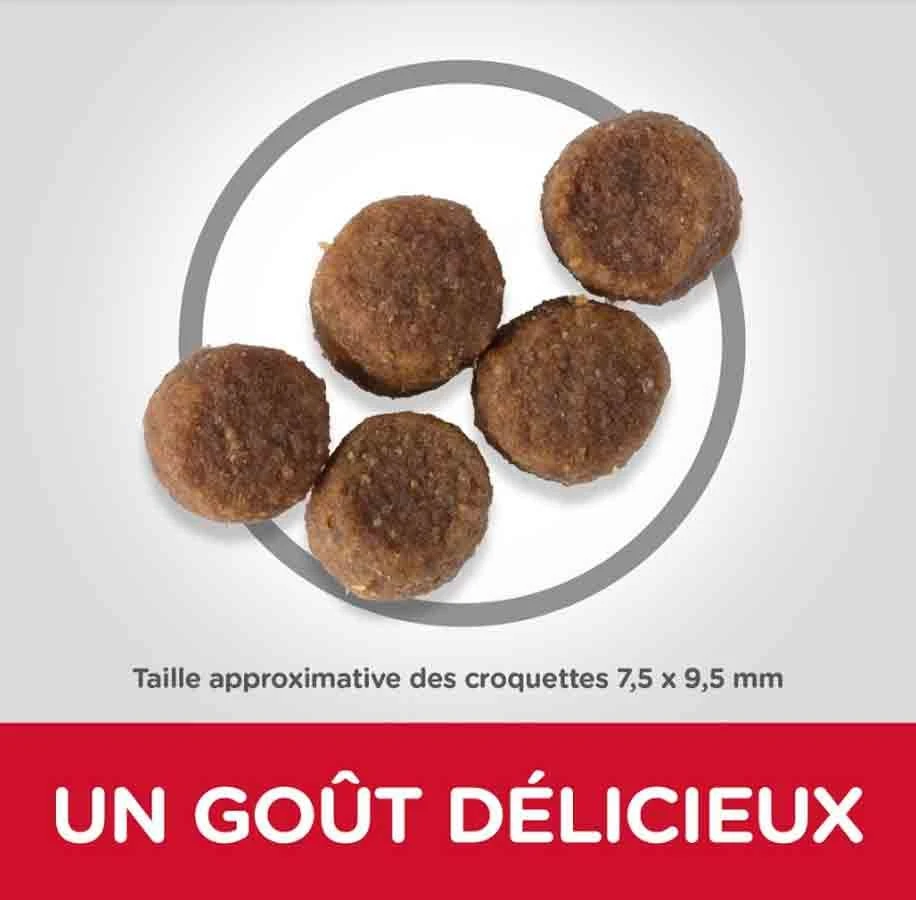 Hill's Science Plan Hill's Science Plan Canine Puppy Medium Agneau & Riz 14 Kg â Image 2