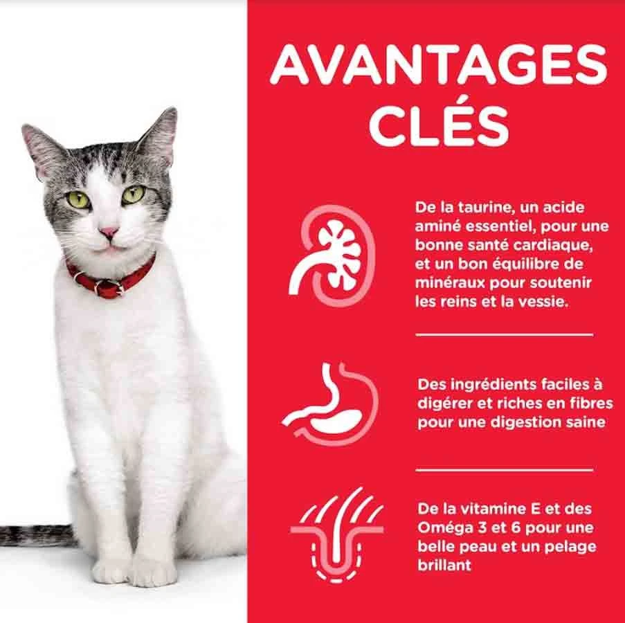 Hill's Science Plan Hill's Science Plan Feline Senior 11+ Poulet 3 Kg â Image 2