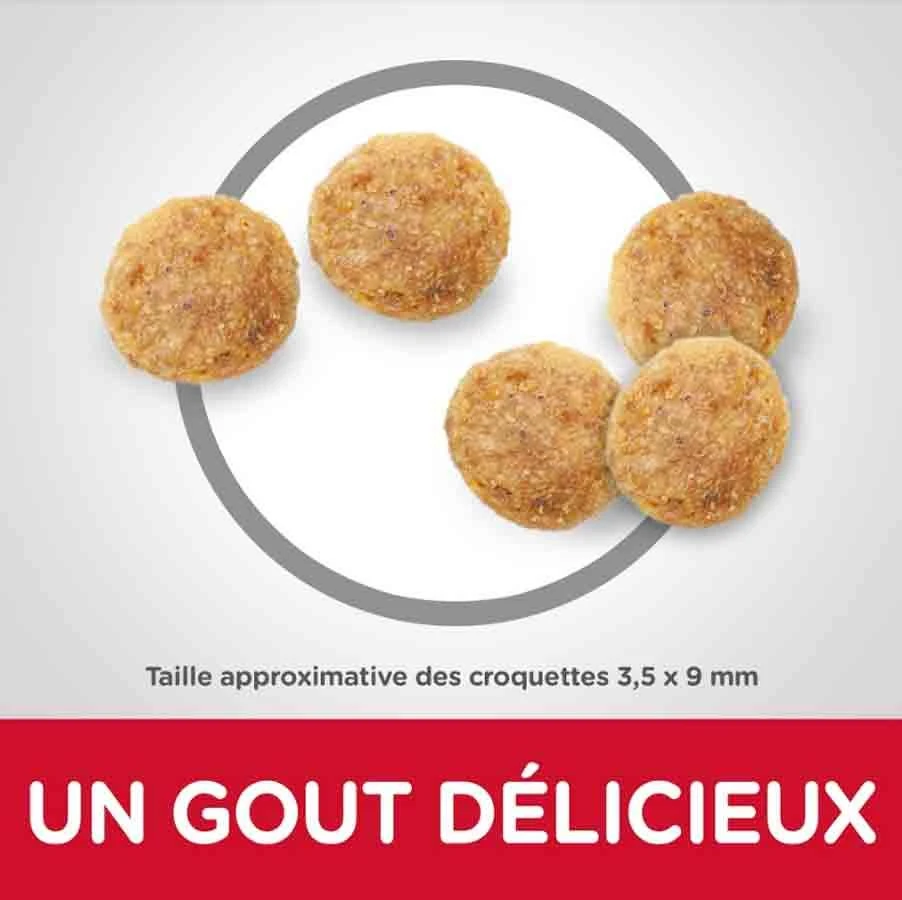 Hill's Science Plan Hill's Science Plan Feline Senior 11+ Poulet 3 Kg â Image 3