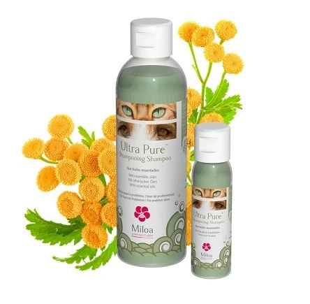 Miloa Shampooing Ultra Pure 200 Ml