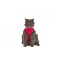 Medical Pet Shirt Chat S