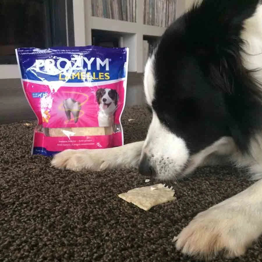 Prozym Lamelles Chiens M 15-25 Kg 15 Lamelles â Image 2