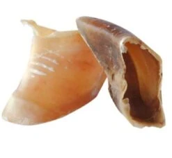 Bubimex Sabot De Veau X100