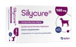 Silycure 160 Mg Chien Moyen Et Grand 75 Cps