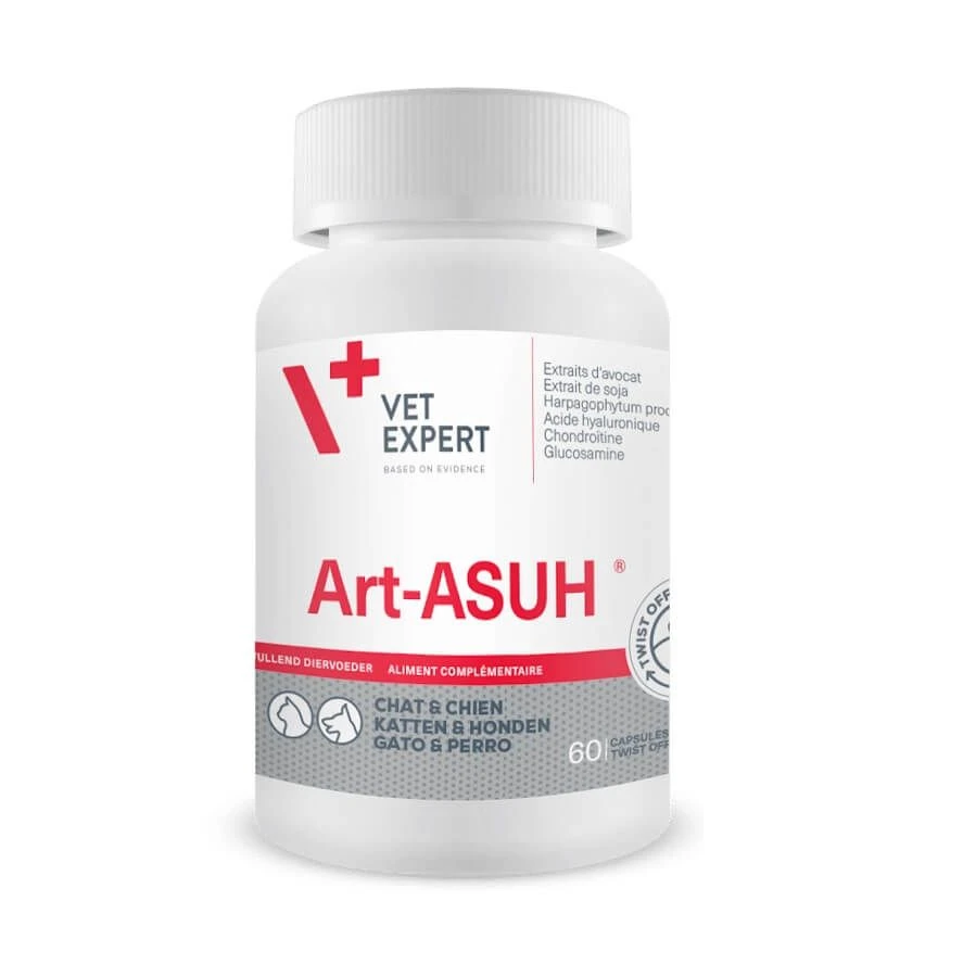 VetExpert Art-ASUH S 60 Capsules